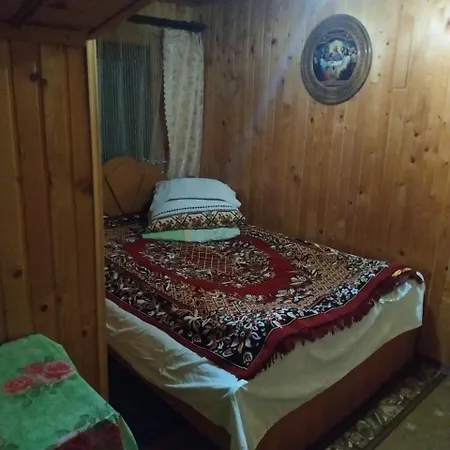 Guest house U Daryny *