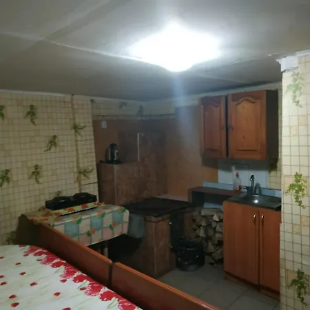 Guest house U Daryny Yablunytsya