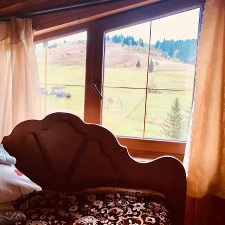 Guest house U Daryny *