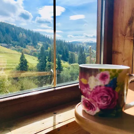 Guest house U Daryny *