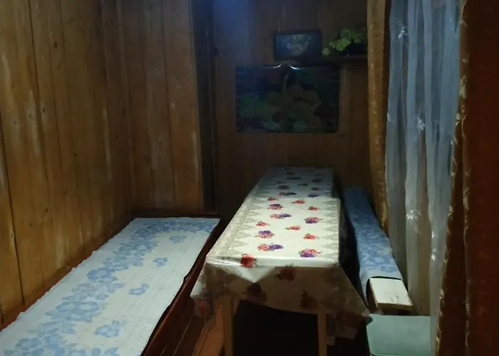 Guest house U Daryny Yablunytsya